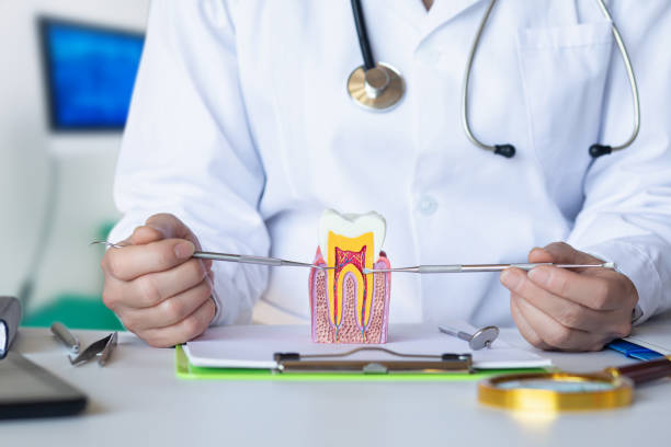 Best Emergency Treatment for Dental Infections or Abscesses in Moose Lake, MN